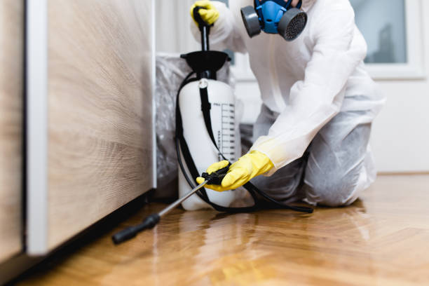 Best Emergency Pest Control  in Hopatcong, NJ