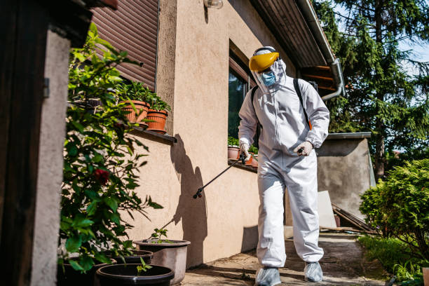 Trusted Hopatcong, NJ Pest Control Experts