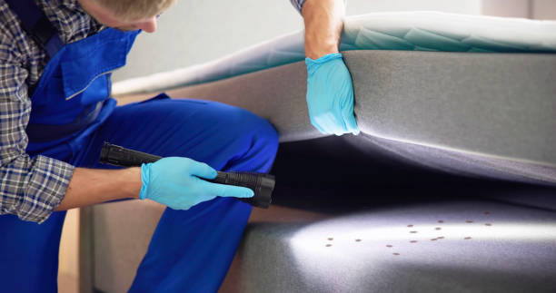 Best Pest Control Near Me  in Hopatcong, NJ