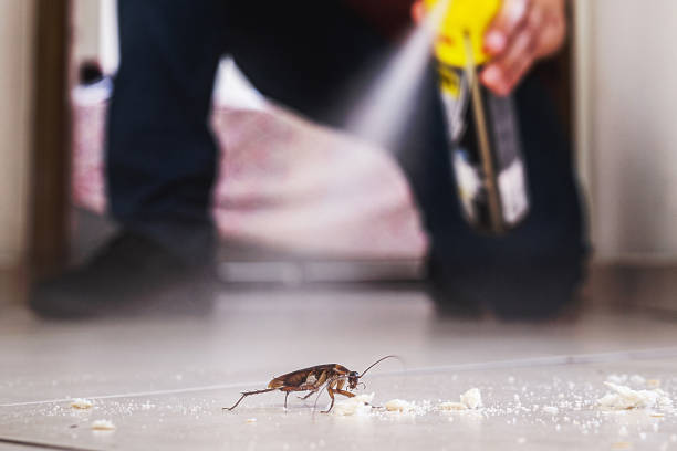 Best Cockroach Control Services  in Hopatcong, NJ
