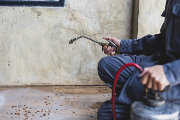 Best Best Pest Control Companies  in Hopatcong, NJ