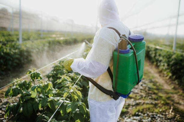 Best Wasp Removal Services  in Hopatcong, NJ